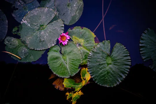 体彩排列五 App 截图